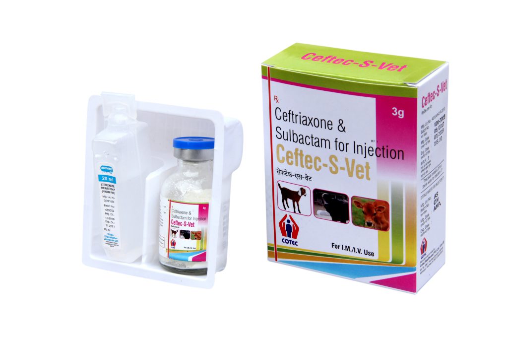 cotec – Complete technology for healthcare